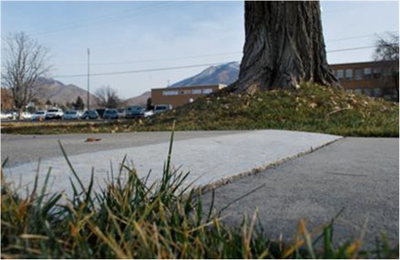 City Sidewalk Marking | Livermore, CA