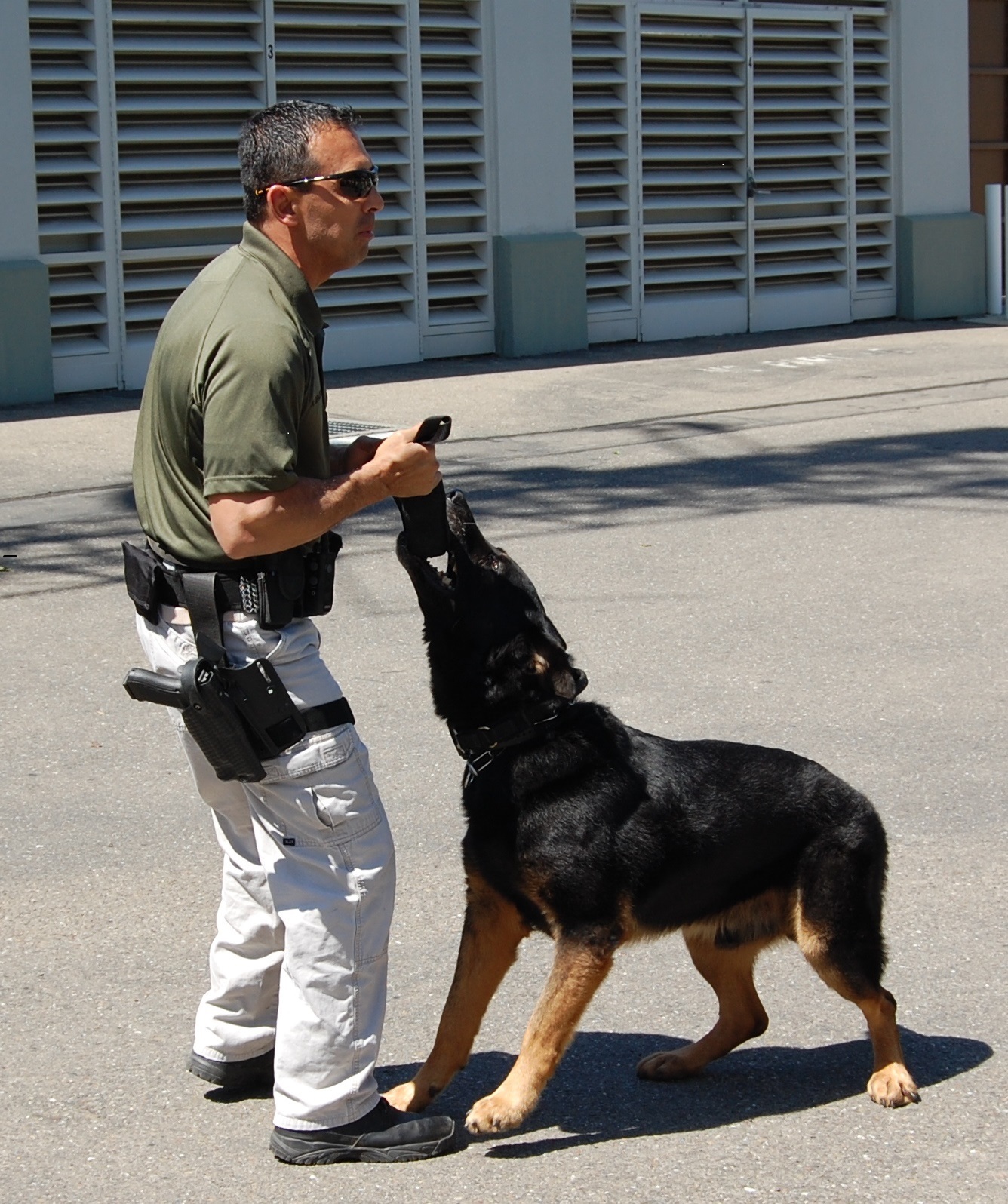 Man with dog