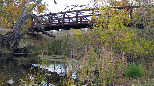 Bridge over a River