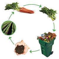 Cycle of Recycling