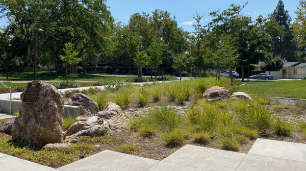 Landscaping in front of Livermore Council Chambers