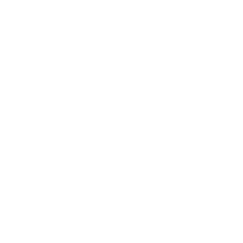 Income Limits Icon - white