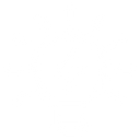 Lightbulb Icon